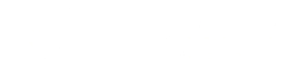 Voxora Labs